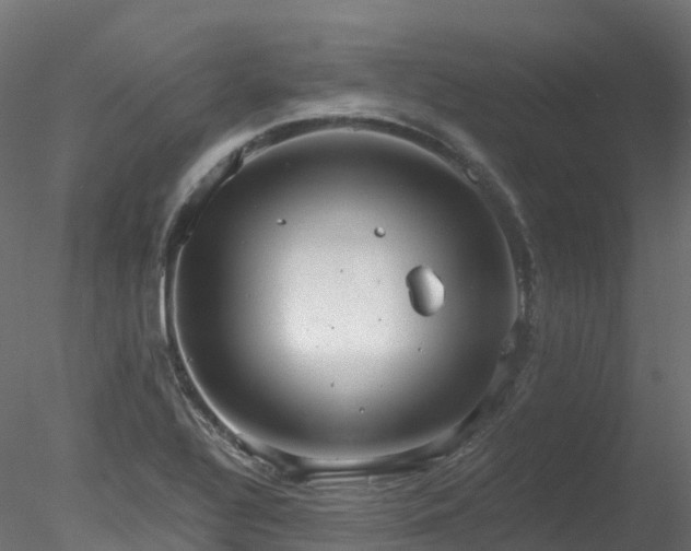 X0000078281320200611031158