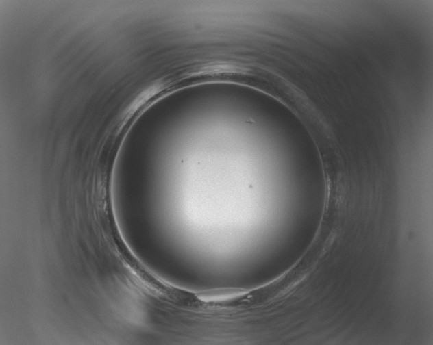 X0000078281321200611031158