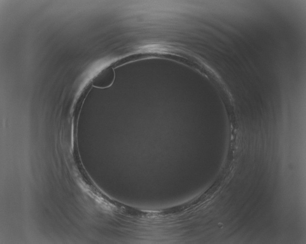 X0000078281323200611031158