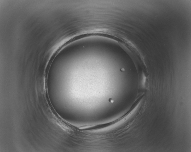 X0000078281324200611031158