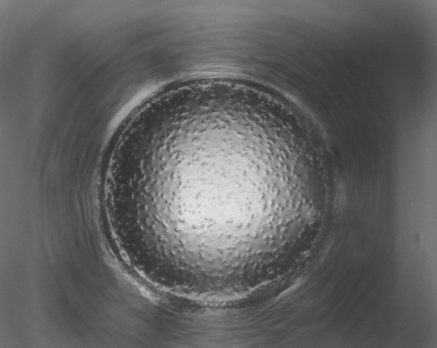 X0000078281325200611031158