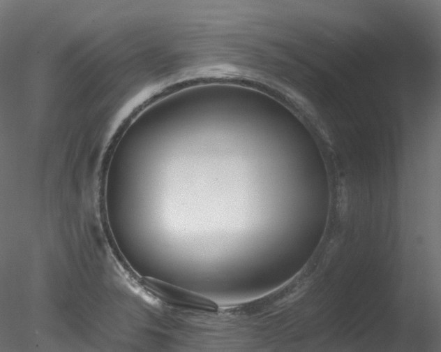 X0000078281326200611031158