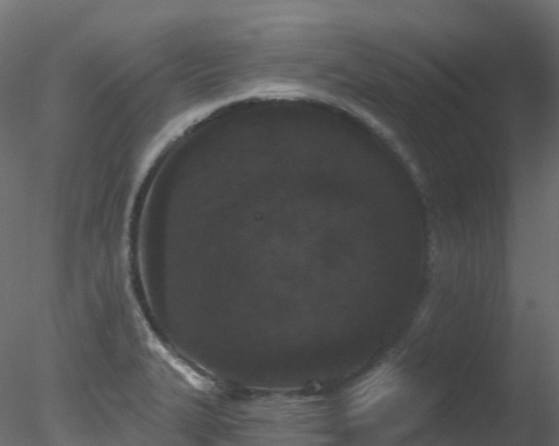 X0000078281327200611031158