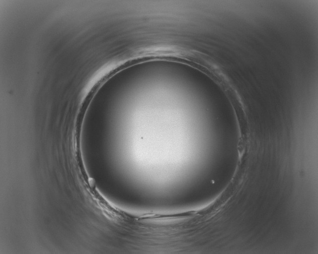 X0000078281328200611031158