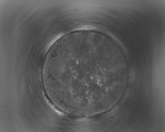 X0000078281329200611031158