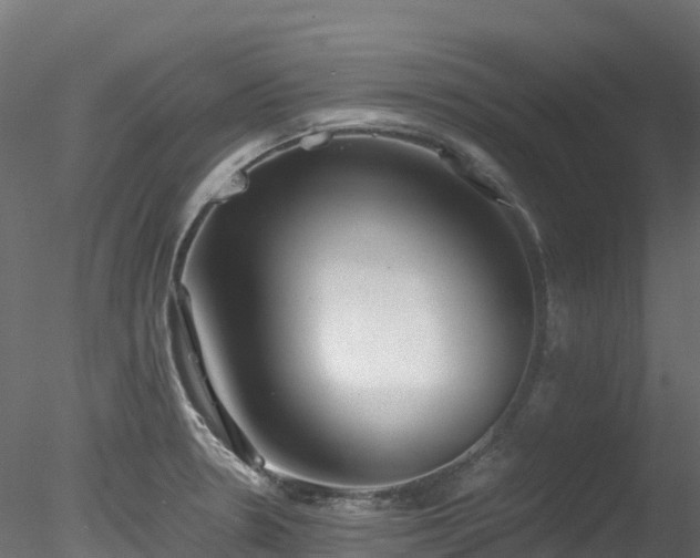 X0000078281330200611031158