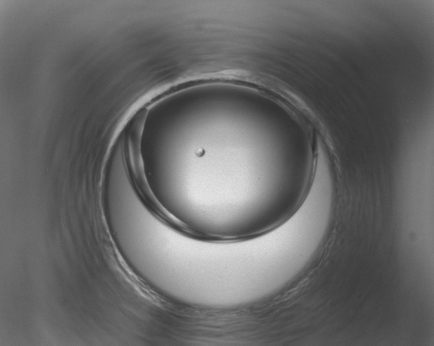 X0000078281332200611031158