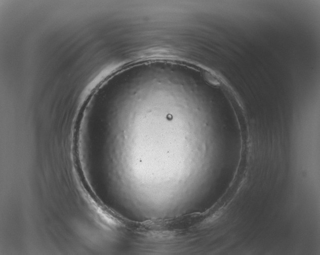 X0000078281333200611031158