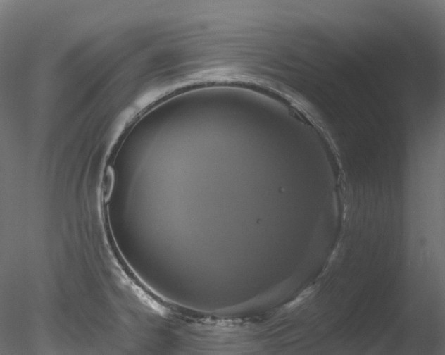 X0000078281334200611031158