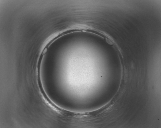 X0000078281335200611031158