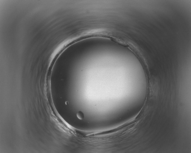 X0000078281336200611031158