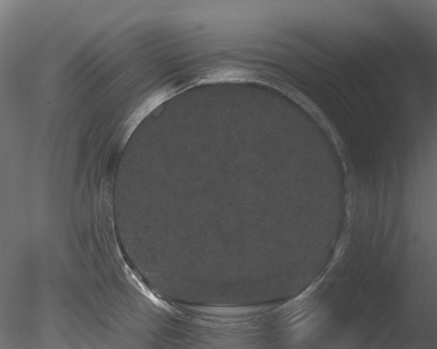 X0000078281337200611031158