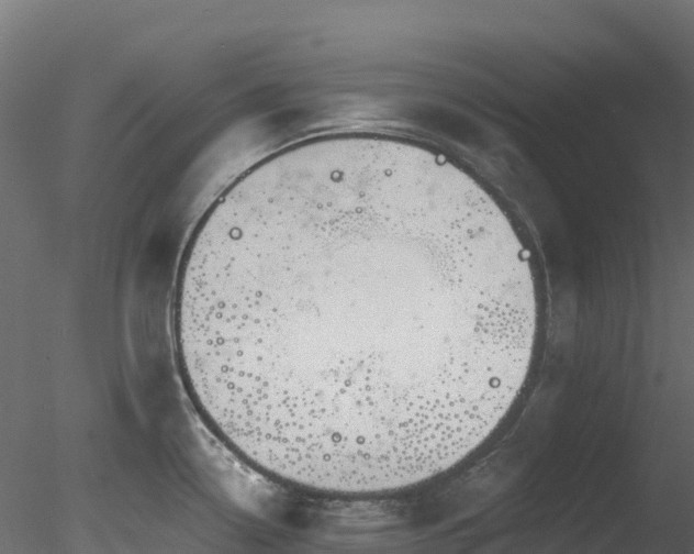 X0000078281338200611031158