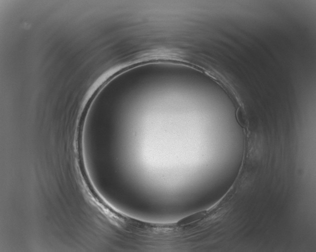 X0000078281339200611031158