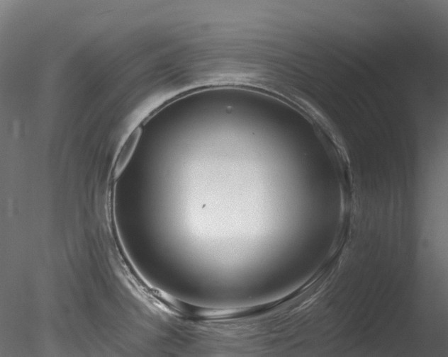 X0000078281340200611031158