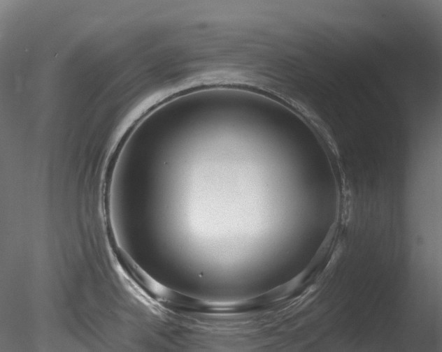 X0000078281342200611031158