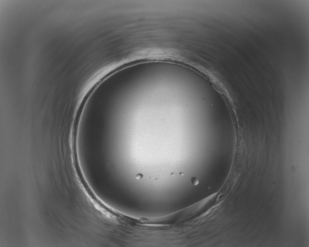 X0000078281343200611031158