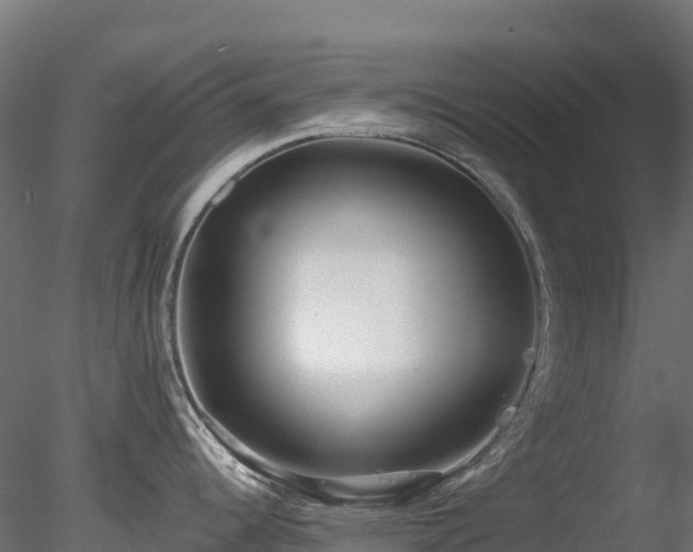 X0000078281344200611031158