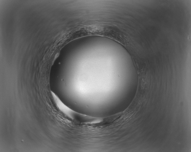 X0000078281345200611031158