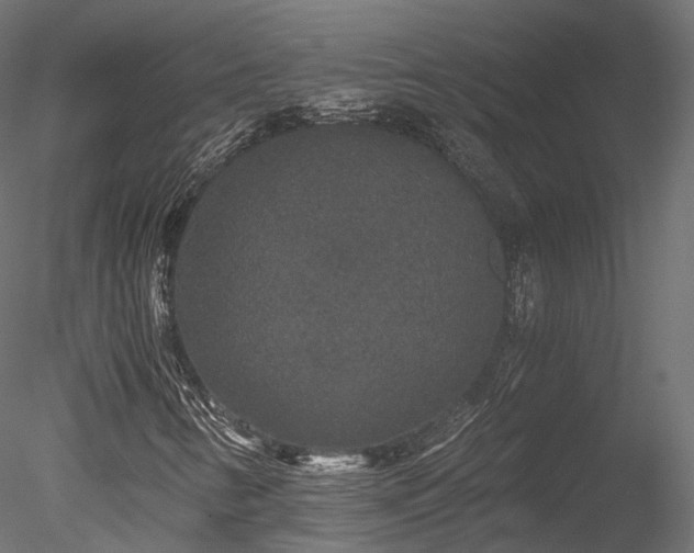 X0000078281346200611031158