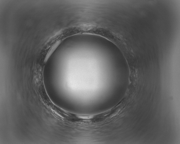 X0000078281349200611031158