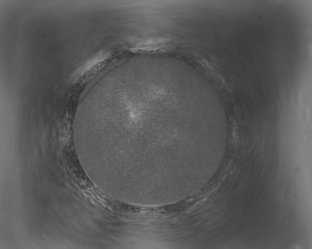 X0000078281350200611031157