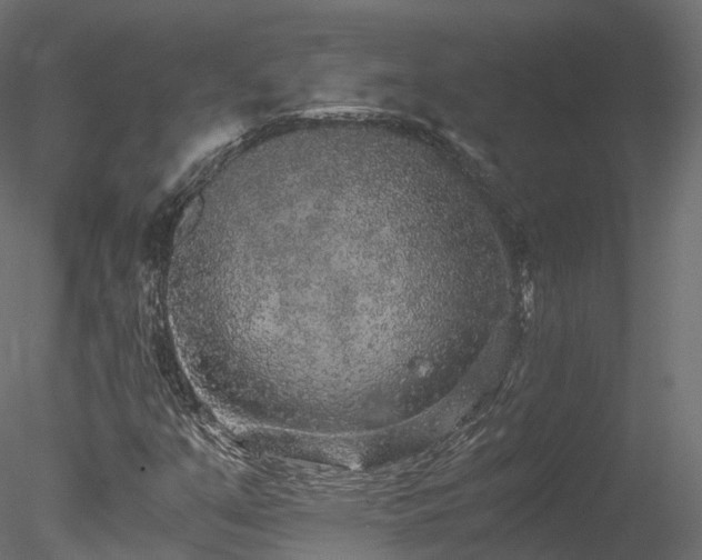 X0000078281351200611031157