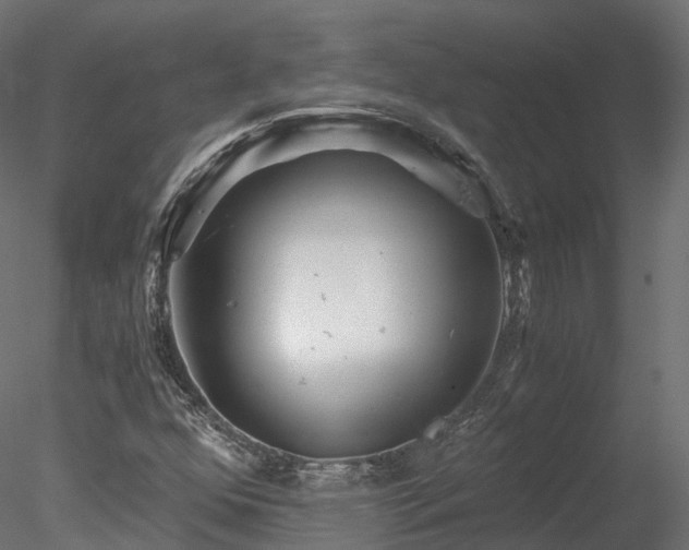 X0000078281352200611031157