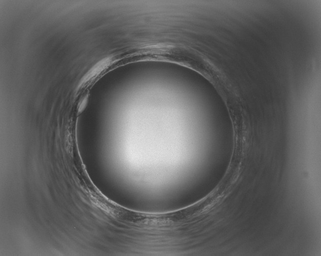 X0000078281354200611031157