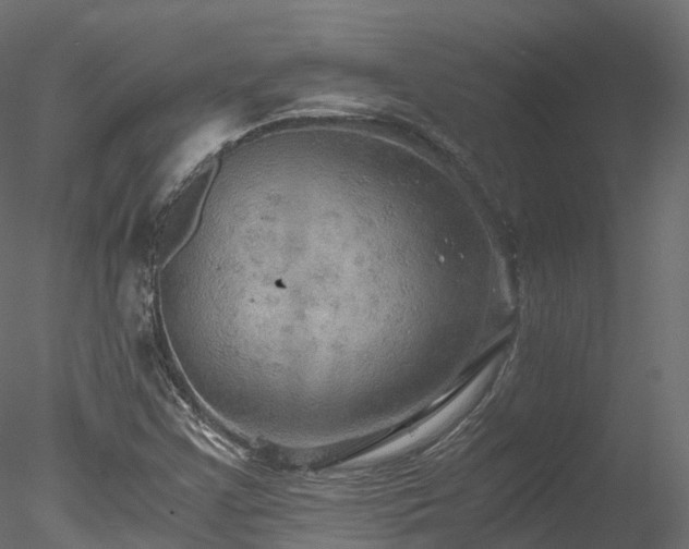 X0000078281355200611031157