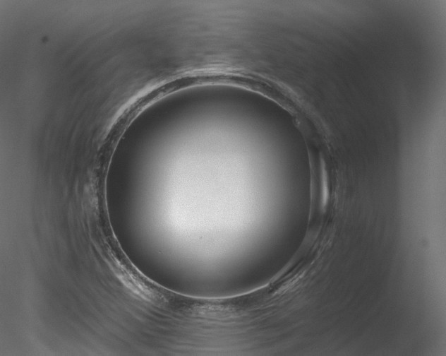 X0000078281356200611031157