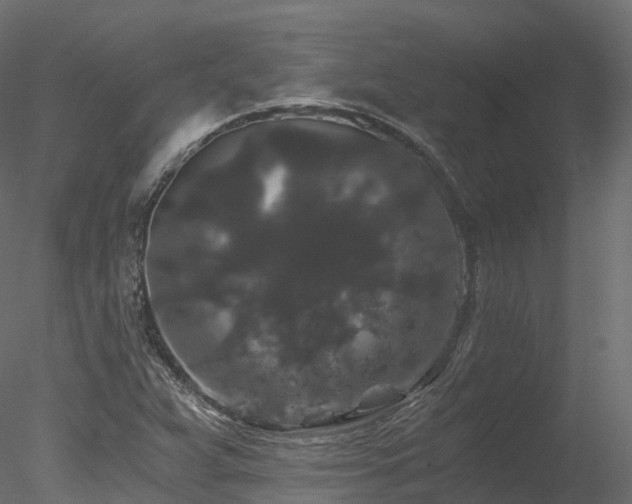 X0000078281359200611031157