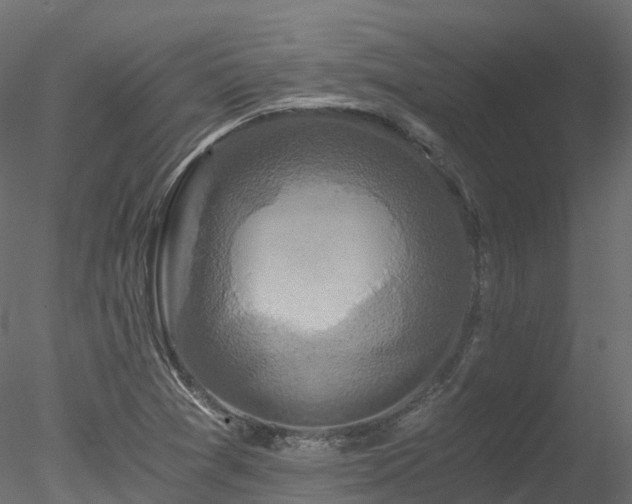 X0000078281361200611031157