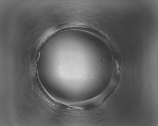 X0000078281363200611031157