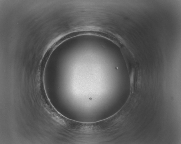 X0000078281364200611031157