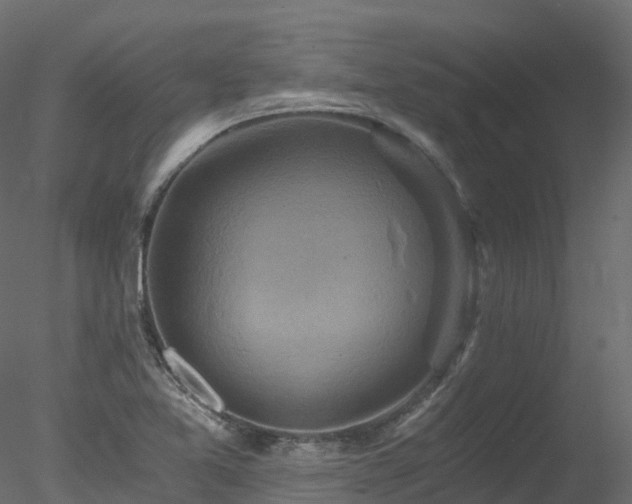 X0000078281365200611031157