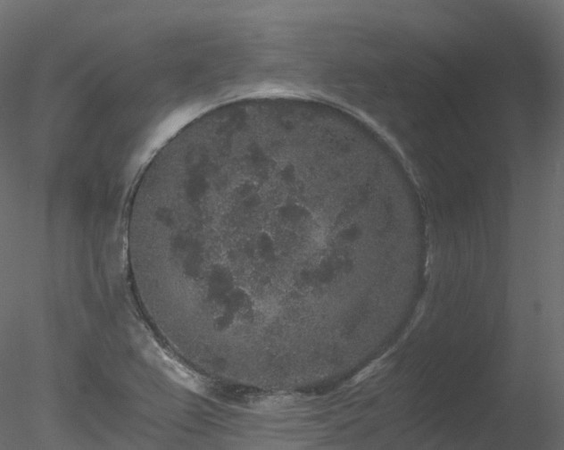 X0000078281367200611031157