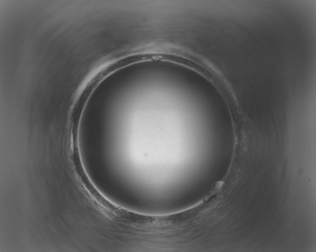 X0000078281368200611031157