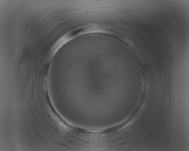 X0000078281369200611031157