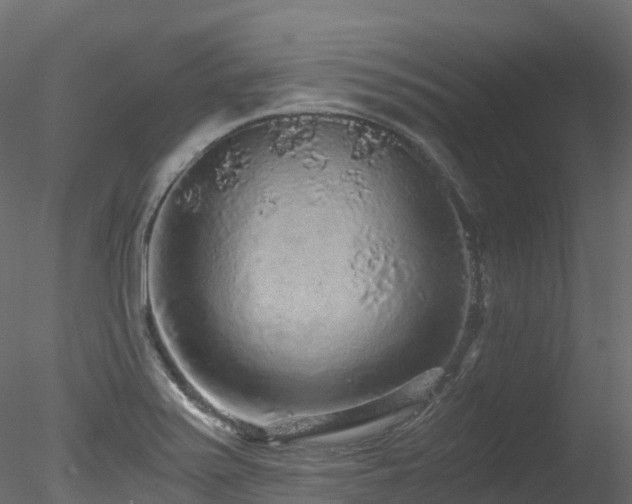 X0000078281371200611031157