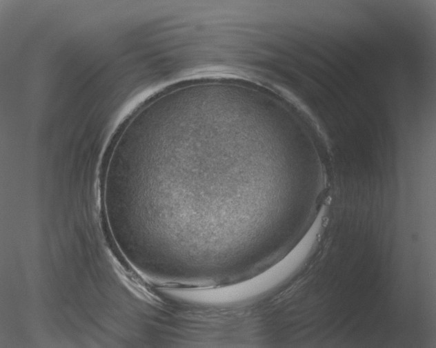 X0000078281372200611031157