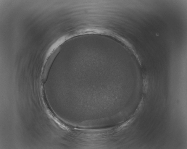 X0000078281373200611031157