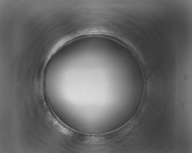 X0000078281374200611031157