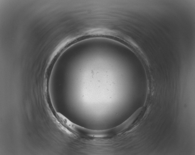 X0000078281376200611031157