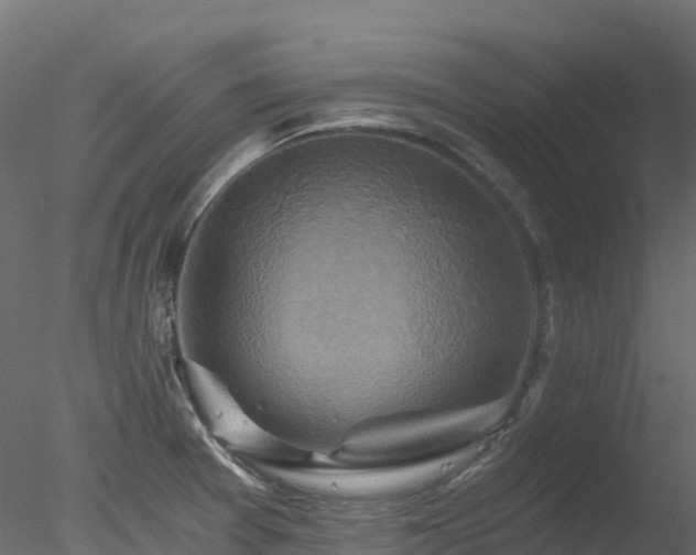 X0000078281377200611031157