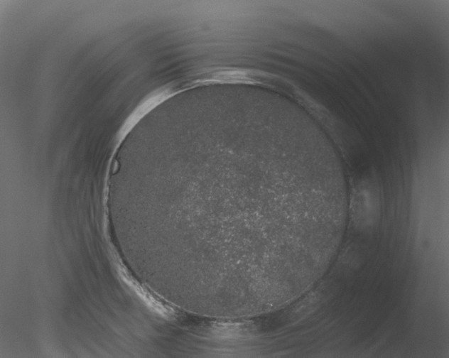 X0000078281378200611031157