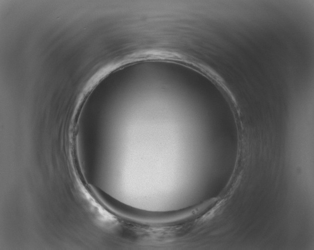 X0000078281381200611031157