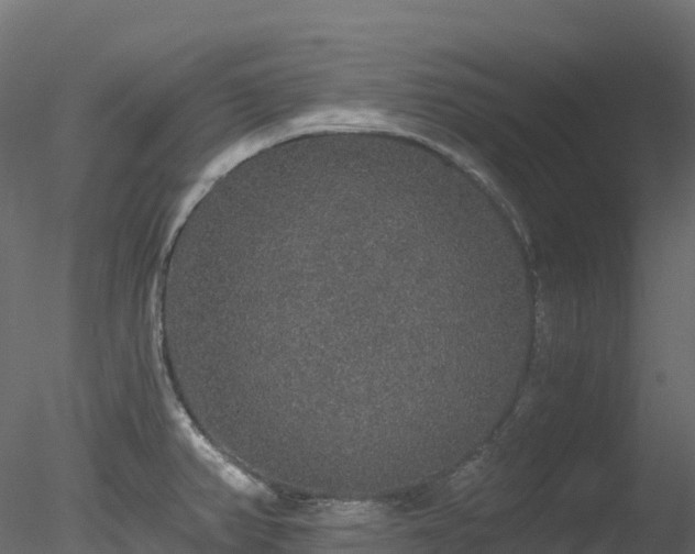 X0000078281382200611031157