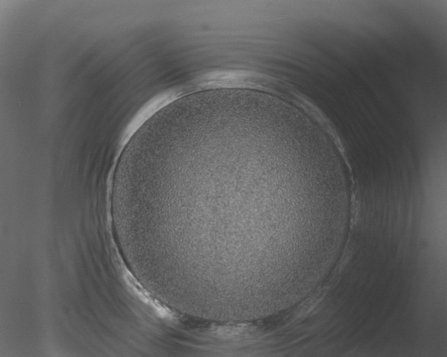 X0000078281386200611031157