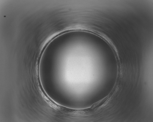 X0000078281388200611031157